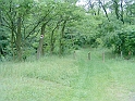 20100604 002